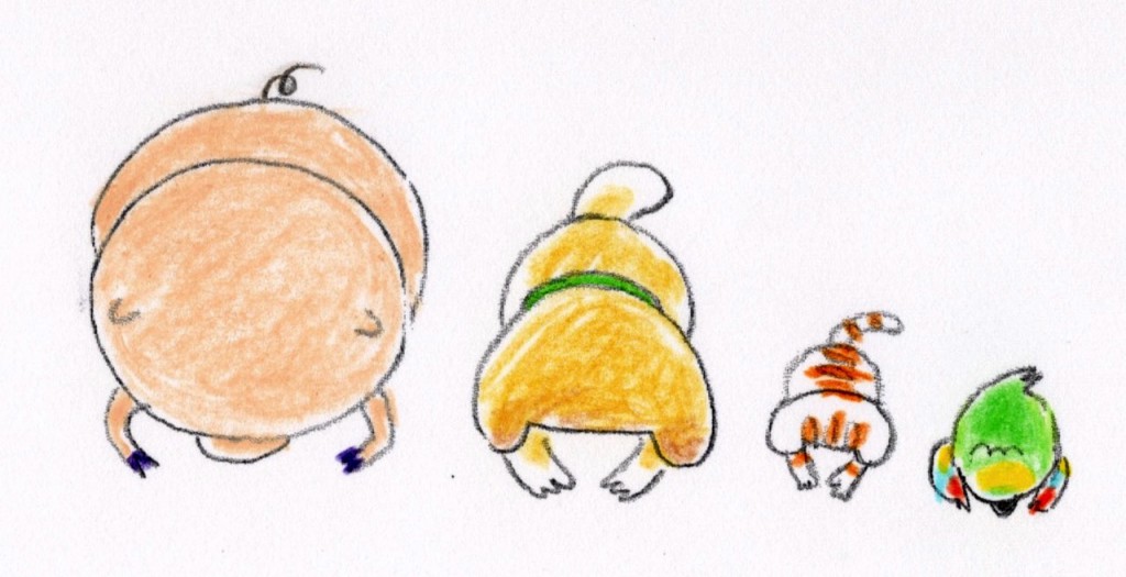 ごめんなさい